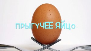Как сделать яйцо прыгучим и прозрачным с помощью уксуса! 🥚🔬
