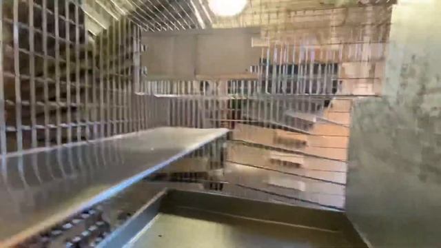 УСТРОЙСТВО КЛЕТКИ ДЛЯ ШИНШИЛЛ | ФЕРМА ШИШИЛЛ | ШИНШИЛЛОВАЯ ФЕРМА смотреть онлайн