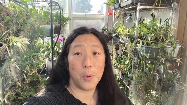Update on Orchids 101 Lecture смотреть онлайн