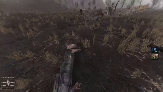 zombie float anomaly смотреть онлайн