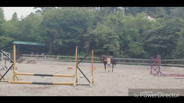 Пробник корео на свободе(не верхом)/Подобие нх/ смотреть онлайн