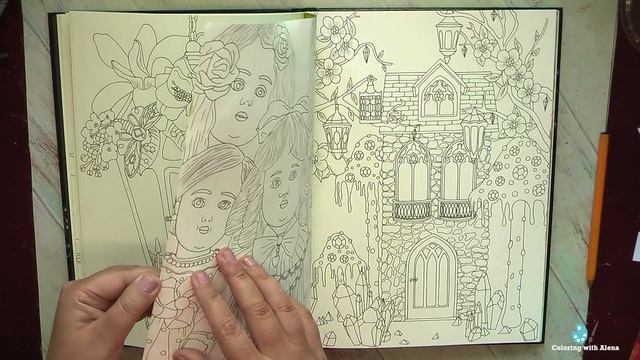 Betoverde Seizoenen by (Enchanted seasons) by N.Van Moer #Coloring book review #adultcoloring смотреть онлайн