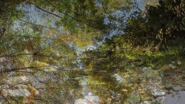 НЕЖНАЯ ЛЕЧЕБНАЯ МУЗЫКА ДЛЯ РАССЛАБЛЕНИЯ НЕРВНОЙ СИСТЕМЫ#meditationmusic #relaxingmusic #relaxing