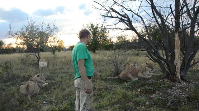 Как Стерва 'уложила' Клепу :)) смотреть онлайн