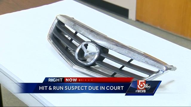 Driver accused in grandmother's hit and run death due in court смотреть онлайн