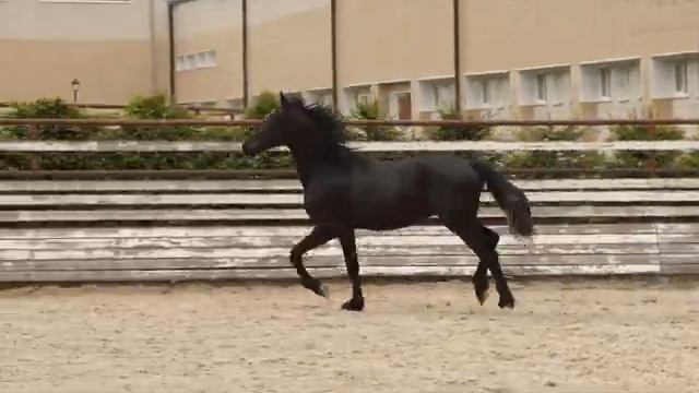 Кворум смотреть онлайн