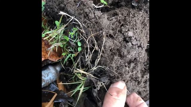 Couple of finds from last week. / Give away winner announced! Metal Detecting смотреть онлайн