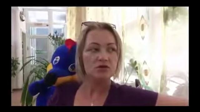 Игра по Метафорическим картам 2 смотреть онлайн