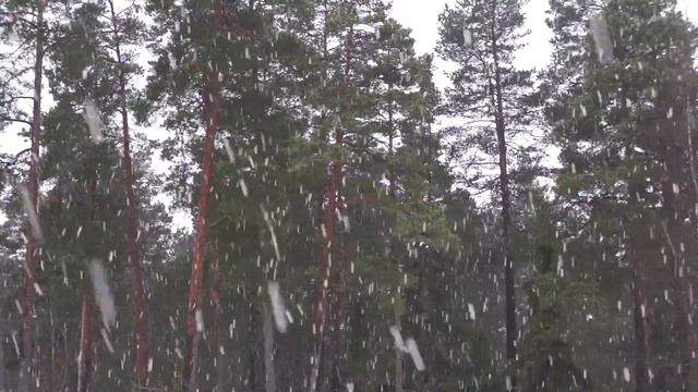 +2 snow смотреть онлайн