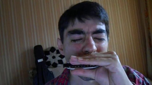 #губная_гармошка #harmonica Копия видео Tugallyaku. Тугалляку. #stratocastro смотреть онлайн