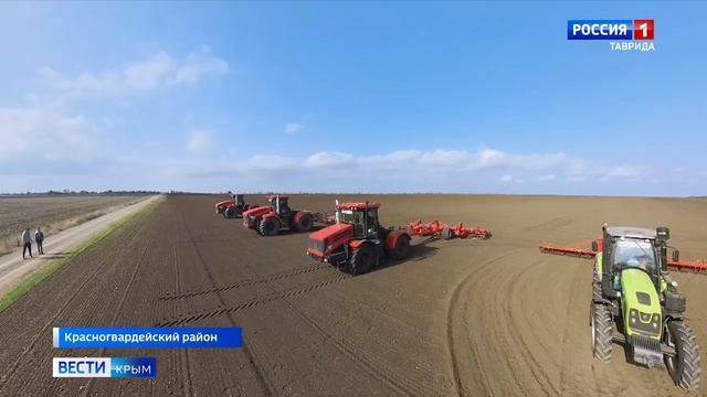В Крыму возобновили сев озимых смотреть онлайн