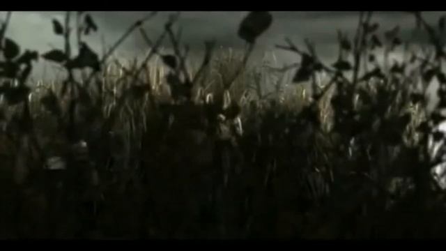 S.T.A.L.K.E.R. Научная экспедиция смотреть онлайн