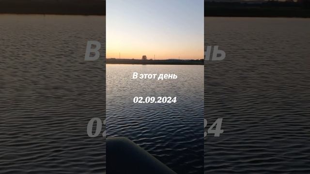 Цитата на закате дня . #красота #красотаприроды #осень #вэтотдень #Вэтотдень #02092024 #цитата #цита смотреть онлайн