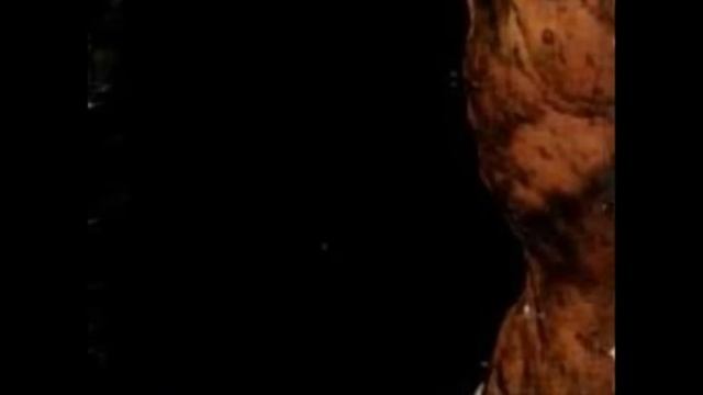 Catharsis - In the Belly of the Demon смотреть онлайн