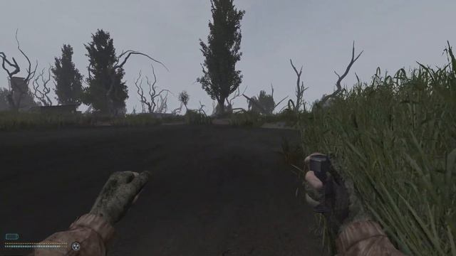 STALKER ANOMALY | Part 1 смотреть онлайн