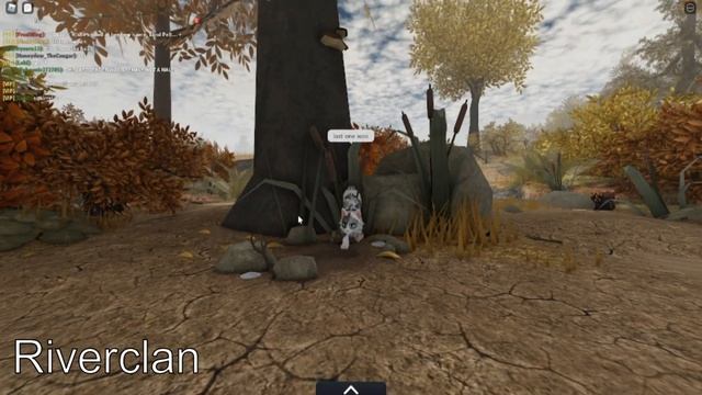 All Prey Pile Locations + possible new items and HEAD MODEL?? смотреть онлайн