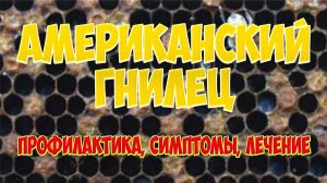 Ошибки пчеловода. Американский гнилец. Начинающему пчеловоду. Профилактика гнильцовых заболеваний.