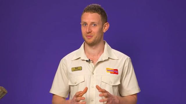 How do pythons kill their prey? смотреть онлайн