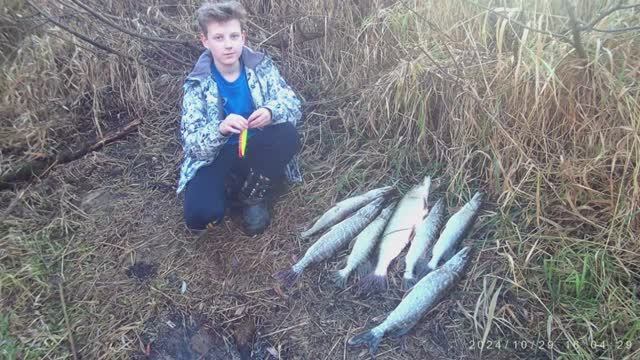 Чуден днепр при тихой погоде!