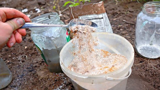Этот порошок в 100 раз дешевле и лучше навоза! Весной вношу на грядки земля становится черноземом. смотреть онлайн