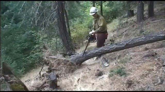 Blow Down смотреть онлайн