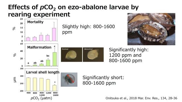 アジア・大洋州における気候変動と脆弱性に関する国際会議2019 ～気候変動と太平洋～ セッション１ смотреть онлайн