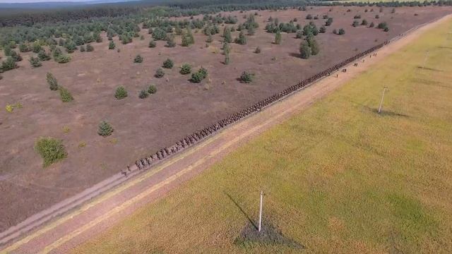 Національна академія Національної гвардії України смотреть онлайн