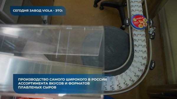 История компании Viola