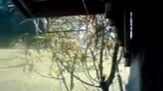 Masha saw a butterfly смотреть онлайн