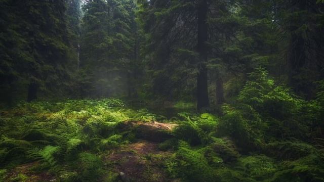 Slava Lucky - Carpathians Memories \ Ambient Relax Music