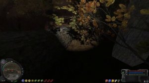 NS OGSR | Тайник Харона в Красном Лесу | Все варианты