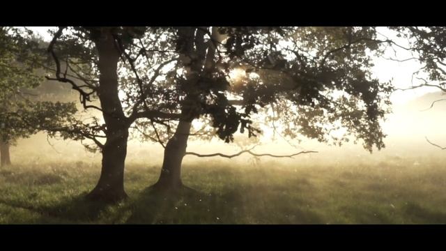 Solarsoul & Echo-ES - Stalker Memories [SINGLE] смотреть онлайн