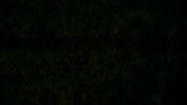 Stockholm's after halloween night смотреть онлайн