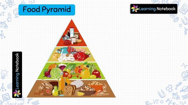 Class 5 Science Food and Health смотреть онлайн