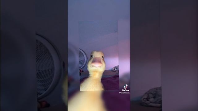 завтра у меня др смотреть онлайн