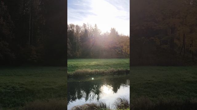 realme 13 Plus 5G: фото и видео возможности смартфона. #realme #smartphone #обзор #realme13plus5g смотреть онлайн