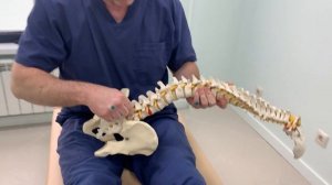 15 минут в день и спина не будет болеть. Упражнение при фасетном синдроме!