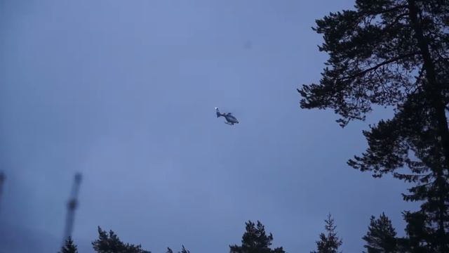 polis Tyresö смотреть онлайн