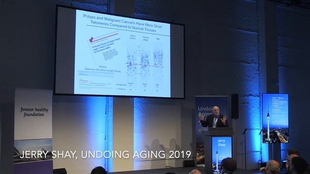 Jerry Shay at Undoing Aging 2019 | Теломеры и теломераза при старении и раке (Перевод) смотреть онлайн