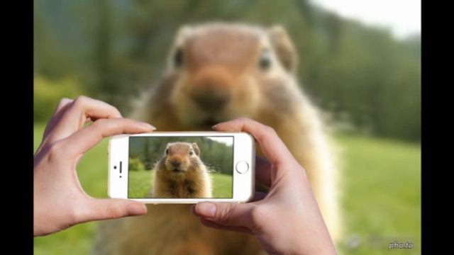 Турбо-суслик Аффирмации на тему денег смотреть онлайн