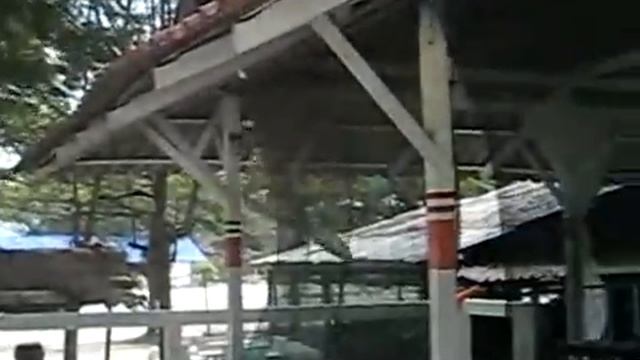 Thailand Koh Roс, Koh Lipe intro смотреть онлайн