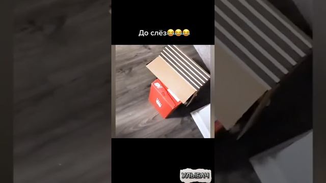 лучший сборник приколов 2024 смотреть онлайн