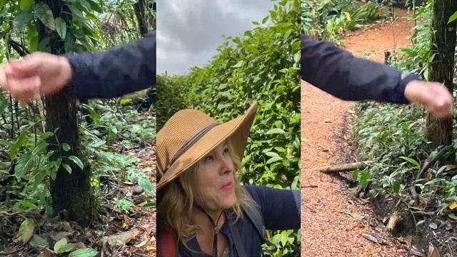 COSTA RICA RETREAT, IT'S A-MAZE! - Video 2 of 7 смотреть онлайн