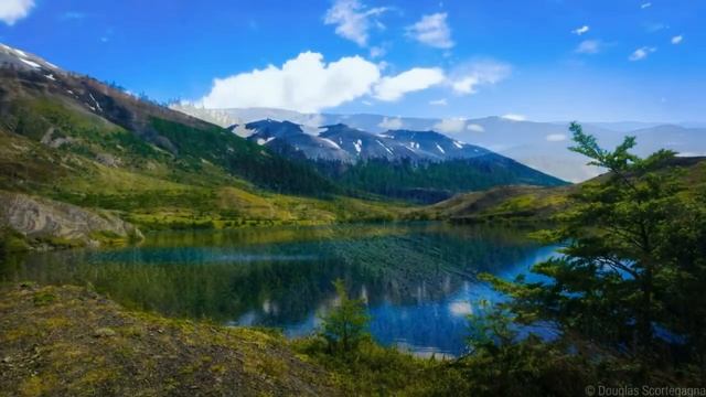 Роберт Адамс — Не беспокойтесь о мире смотреть онлайн