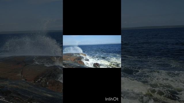 Белое море - 2024 смотреть онлайн