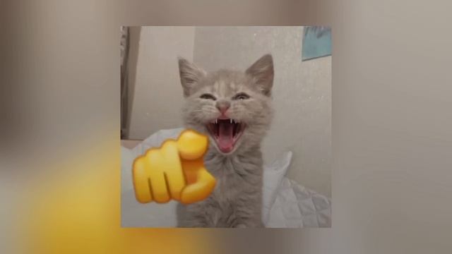 School Boy Runaway смотреть онлайн