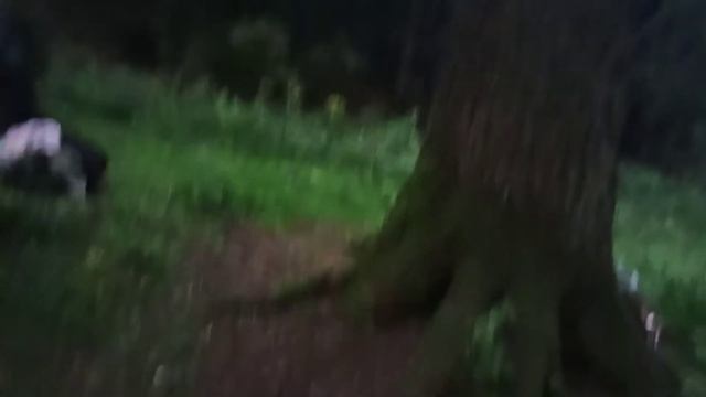 Синевир кемпинг смотреть онлайн