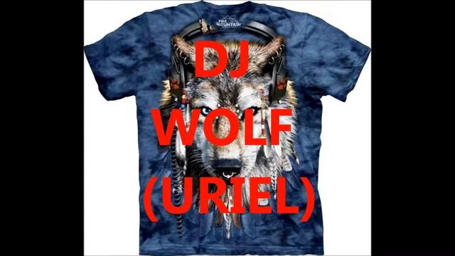 TIESTO SWEDISH HOUSE MAFIA DJ WOLF.wmv смотреть онлайн