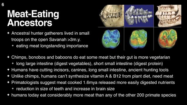 Evolution of Humans' Meat Diet смотреть онлайн