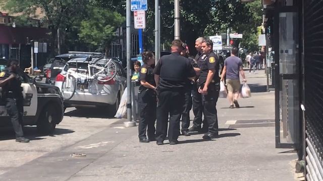 YPD responding to an Assault in Progress Rep смотреть онлайн